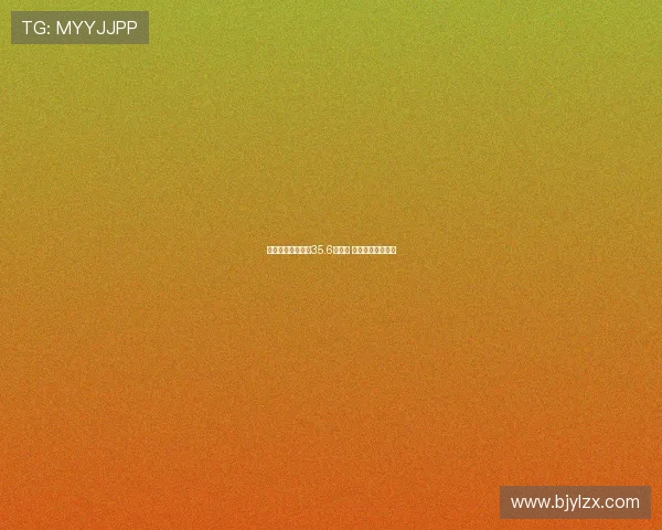 英超转会费支出达35.6亿欧元 超德西法意甲总和